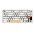 EPOMAKER TH80 V2 PRO 75% ANSI US QWERTY Layout Hot-Swap Gasket Tri-mode Wireless Mechanical Gaming Keyboard with RGB Backlight
