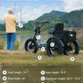 High Power Long Range Dual Motor Dual Battery 3 Wheel E Cargo Trike Adults Sand and Snow Fat Tire Electric Delivery Tricycle