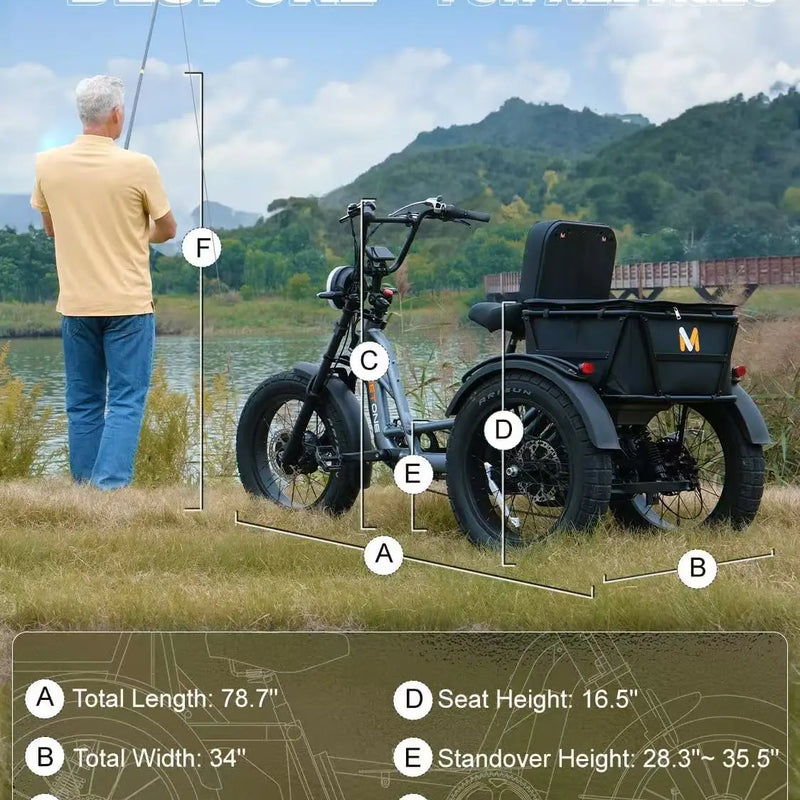 High Power Long Range Dual Motor Dual Battery 3 Wheel E Cargo Trike Adults Sand and Snow Fat Tire Electric Delivery Tricycle
