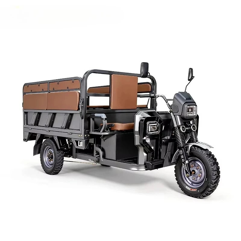 Factory Adult Open Body Electric Trike Dual Use Electric Tricycle 3 Wheeler for Passenger and Cargo Transport