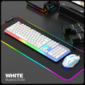 Mechanical Feel Keyboard and Mouse Set, with RGB LED Backlight, USB Wired - 104 Keys - Ideal Choice for Gaming and Office
