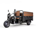 Factory Adult Open Body Electric Trike Dual Use Electric Tricycle 3 Wheeler for Passenger and Cargo Transport