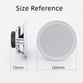 High Quality Home Theater Ceiling Speakers 30W High Power Host Wiring-free Wireless Bluetooth Connection With Remote Control