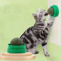 Mint Ball Cat Teeth Cleaning Toy Designed For Chewing And Entertainment A Must-Have Cats Fun Pet Licking