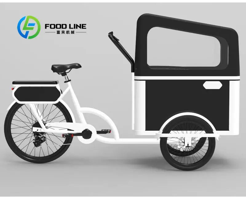 Electric Pedal 3 Wheels Cargo Bike with Rear Motor for Carrying Pets Electrical Bicycles