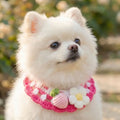 Stylish Adjustable Flower Pet Scarf Bib Sweet Decorative Knitted Cat Scarf Cozy Handmade Cat Woven Bib Spring Collection