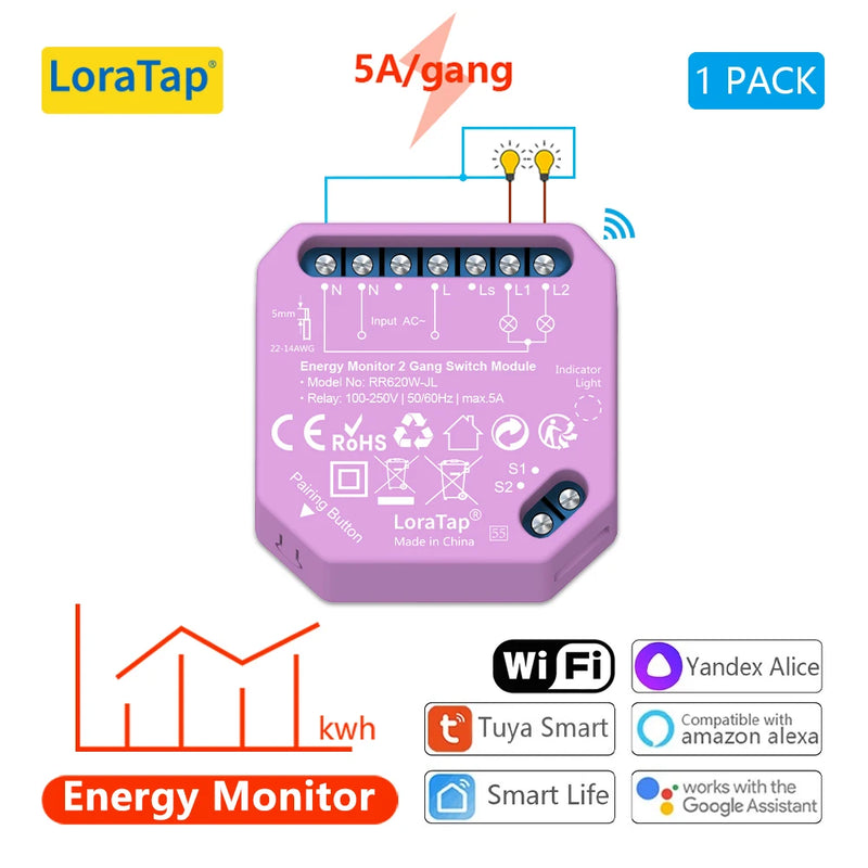 Tuya Smart Life Wifi Switch 2 Gang Relay Breaker Module Google Home Alexa Echo Voice Control Smart Lighting Timer Switch DIY