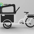 Electric Pedal 3 Wheels Cargo Bike with Rear Motor for Carrying Pets Electrical Bicycles