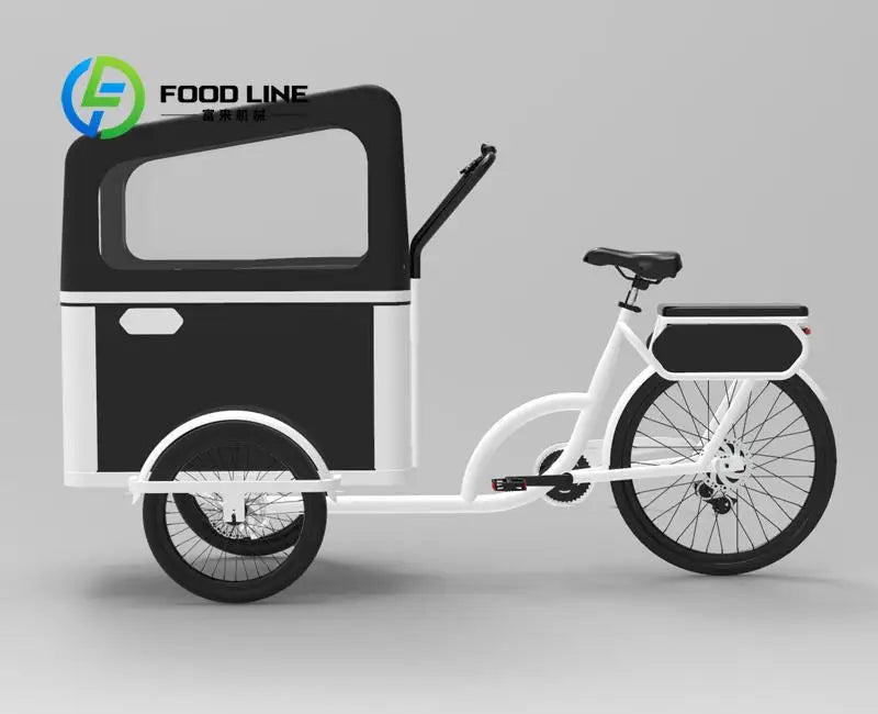 Electric Pedal 3 Wheels Cargo Bike with Rear Motor for Carrying Pets Electrical Bicycles