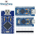 TZT MICRO/MINI/TYPE-C USB ATMEGA32U4 Module 5V 16MHz Board For Arduino ATMEGA32U4-AU/MU Controller Pro-Micro Replace Pro Mini