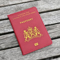 Travel Essentials Nederland Passport Cover Netherlands Passport Cover for documents Passport Nederlanden Paspoorthoesj