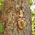 Tree Face Ornaments, Creative Garden Decorations, Resin Crafts, Yard Decor, Wall Embellishments