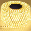 LED Strips Light 220V SMD2835 IP67 Waterproof Flexible Rope Lamp 120Leds/M High Brightness Outdoor Indoor Tape Decor EU Plug