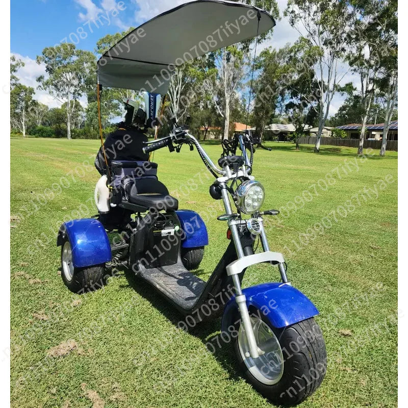 Golf Smart Waterproof Foldable Electric Three-Wheel Golf Scooter with Brushless Motor and LED Lighting