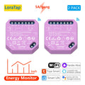 Tuya Smart Life Wifi Switch 2 Gang Relay Breaker Module Google Home Alexa Echo Voice Control Smart Lighting Timer Switch DIY