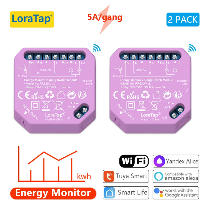 Tuya Smart Life Wifi Switch 2 Gang Relay Breaker Module Google Home Alexa Echo Voice Control Smart Lighting Timer Switch DIY