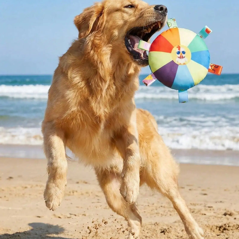 One Set Of Combination Blue Water Bottle Interactive Dog Toy Queaky Dog Toys For Aggressive Chewers For Toys For Boredom Keep Teeth Healthy Durable Material Run Vigorously