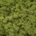 Artificial Green Plants Eternal Life Moss DIY Crafts Grass Garden Home Room Decor Mini Landscape Fake Grass 20/40/100g