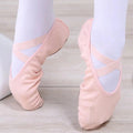 Ballet Shoe,Girls Elastic Ballet Slippers Stretch Canvas Dance Shoes for Kids Adult