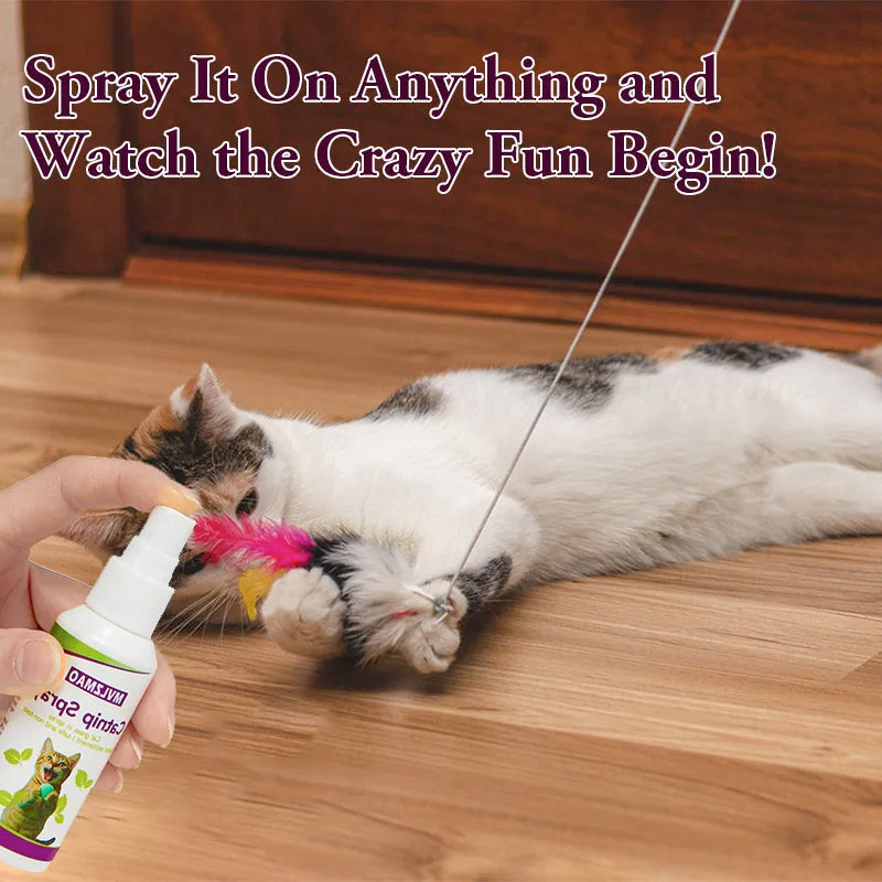 Catnip Spray for Cats,Cat Scratching Spray to Boost Play,Calm Stress & Renew Toys,Transparent Cat & Kitten Behaviour Spray 60 ml