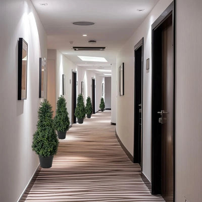 Simulation ground-inserted boxwood tree green plant | SAMAG