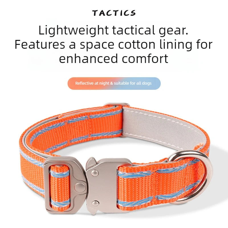 Adjustable Anti‑Escape Pet Collar with Buckle for Outdoor Walking Dog Leash Dog Rope for Dogs and Cats Neck Ring