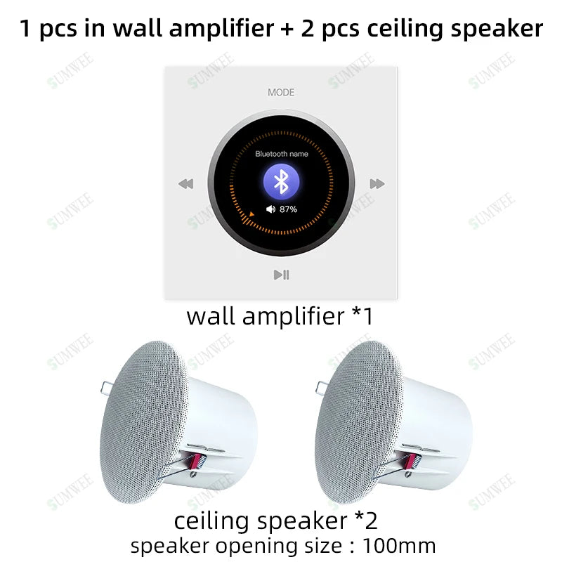 Home Audio Background music player system Bluetooths sound in wall amplifier TF USB FM control panel with stereo ceiling speaker