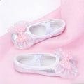 Ballet Shoes for Dancing Child Girl Adult Dance Shoes for Girls Ballet Accessories Modern Dance Girl Ballet Shoes Bow Colorful