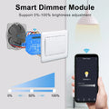 LoraTap Tuya Smart Life ZigBee WiFi Light Switch Module Dimmer Energy Monitor App Remote Control Alexa Google Home Voice Control