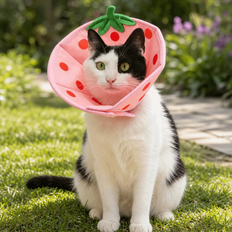 Cartoon Cat Elizabeth Collar Strawberry Bees Cat Neck Protective Circle Breathable Anti-Scratch Cat Dog Grooming Cover
