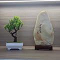 Garden Arrangement Ornaments Plastic Plants Bonsai Small Tree Pot Fake Plant Potted Flower Home Room Table Decoration