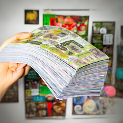 Mr. Paper 45 Sheets/book Creative Sticker Book Used | SAMAG