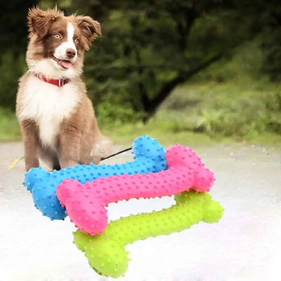 Small Chew Dog Toys Rubber Toothbrush Stick For Training | SAMAG