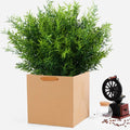 12Pcs Artificial Flowers Plastic Grass Wedding Home Outdoor Garden Vase Decora Diy Photography Props Indoor Bonsai Fake Plants
