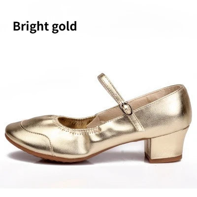 Women Dance Shoes Soft Sole Mid Heel Square Dance Shoes for Adults All Seasons