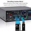 High Power Amplifier 2.0 Channel Audio Home Theater Amplifiers DC 12V 110V/220V Support FM SD USB Dual Mic Bluetooth Remote