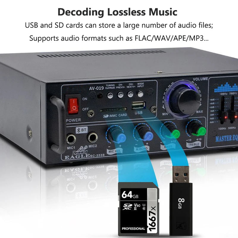 High Power Amplifier 2.0 Channel Audio Home Theater Amplifiers DC 12V 110V/220V Support FM SD USB Dual Mic Bluetooth Remote