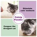Organic Catnip Safe Premium Blend Perfect for Cats, Instilled with Maximized Potency your Kitty is Guaranteed to Go Crazy 100ML