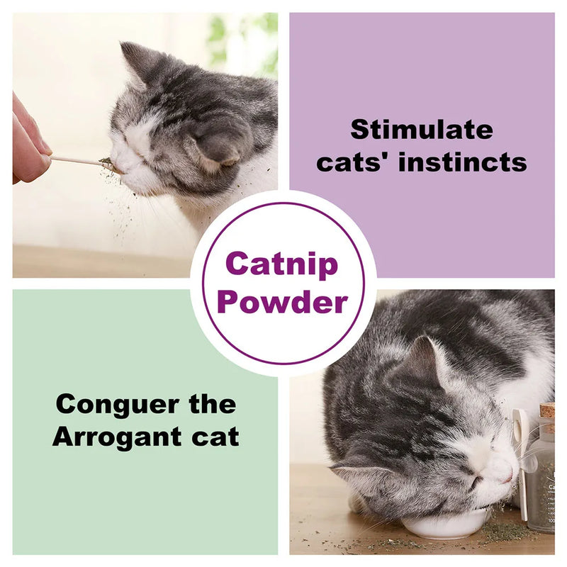 Organic Catnip Safe Premium Blend Perfect for Cats, Instilled with Maximized Potency your Kitty is Guaranteed to Go Crazy 100ML