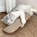 Cat Toy Game Pillow and Cat Scratching Pad for Solo Play and Intimate Interaction