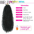 14"Curly Passion Twist Crochet Hair Synthetic Yanky Twist Braiding Hair Extensions Pre-twisted Pre-Looped Senegalese Twist Hair