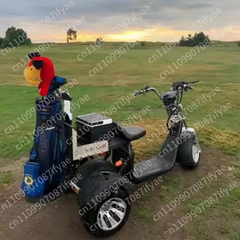 Golf Smart Waterproof Foldable Electric Three-Wheel Golf Scooter with Brushless Motor and LED Lighting