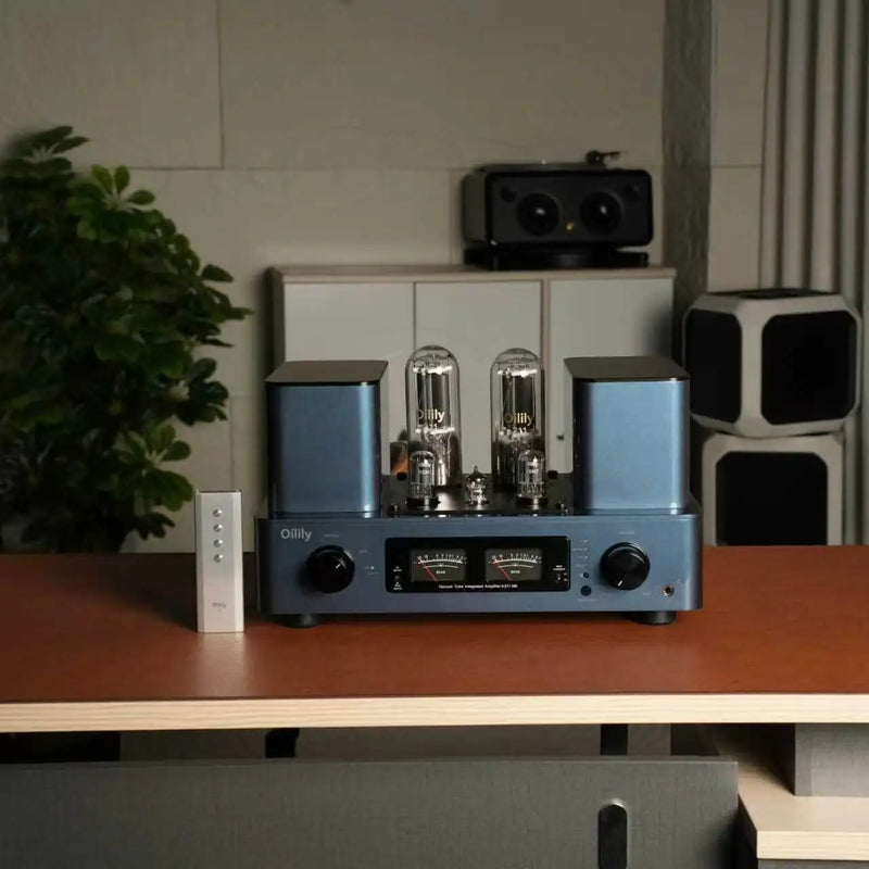 Oilily A211 MK Tube Amplifier: 211×2 Single-Ended Class A Integrated Amplifier, Hand-Built, High-End Hi-Fi Power Amplifier