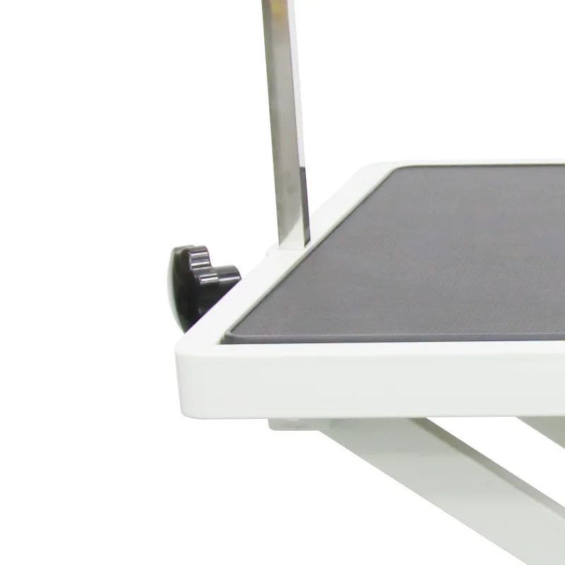 Shernbao FT‑808 Electric Lifting Dog Grooming Table Mobile Pet Grooming Station with Grooming Arm Noose for Large Dogs Pet Salon