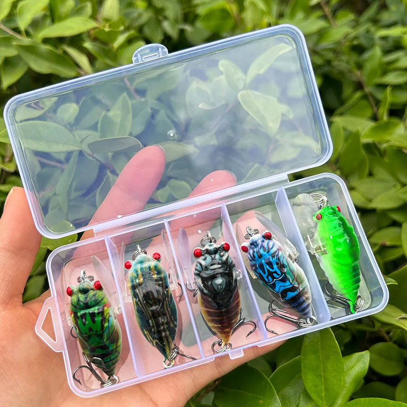 Cicada Crankbait Fishing Lures 3D Eyes Hard Plastic Bait | SAMAG