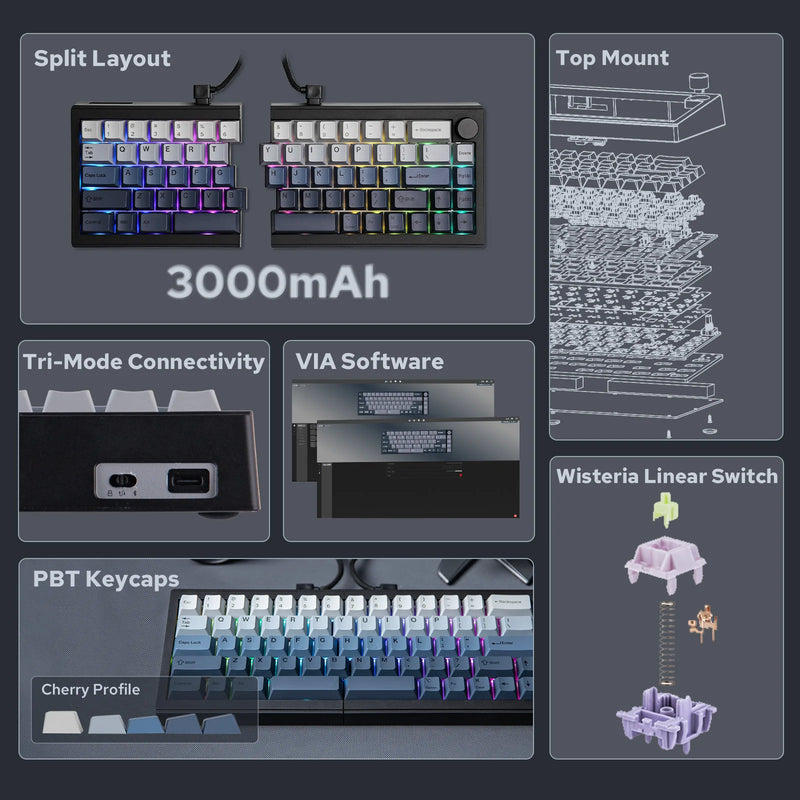EPOMAKER Split65 60% Layout TOP Structure Hot-Swap Wired/2.4GHz/Bluetooth 5.0 Wireless Mechanical Keyboard South-facing RGB