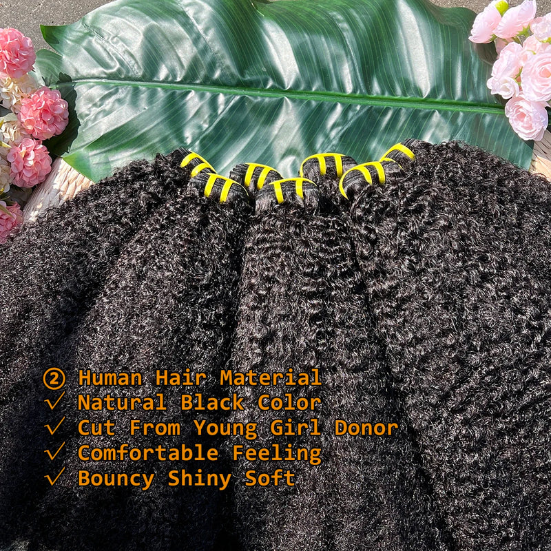 4C Afro Kinky Curly Hair Bundles 100% Raw Vietnamese Virgin Human Hair Extensions Cuticle Aligned Single Donor For Black Women