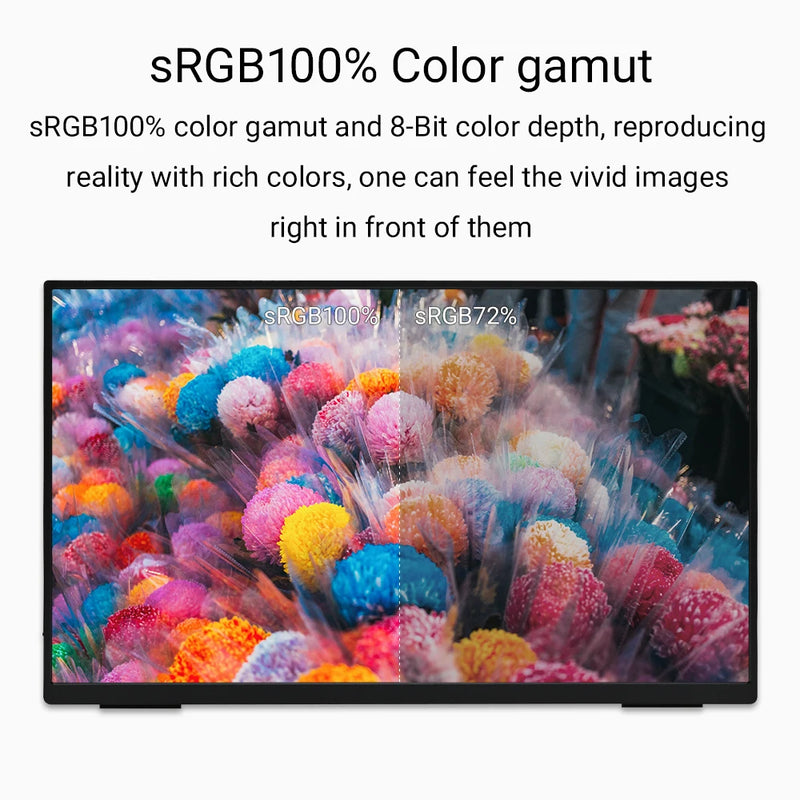 ZSUS 18-Inch 1080P 100Hz 100%sRGB Portable Monitor 16:9 HDR 350cd /M² For XBox PS4 / 5 Switch Cell Phone PC Loptop Extension