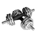 Electroplated Disassemblable and Combinable Dumbbells | SAMAG