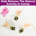 Mouse Cat Toys Catnip Feather Ball Self Cleaning Teeth Interactive Home Chasing Game Toy Products Cat Mint Ball Training Toys